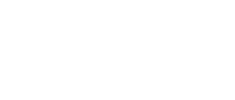 Forest Leopard